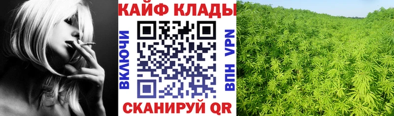 Где купить наркотики Боровичи ГАШИШ  Канабис  A PVP  Псилоцибиновые грибы  Меф 