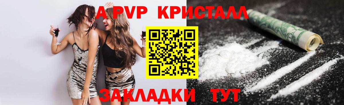 Альфа ПВП СК КРИС Боровичи