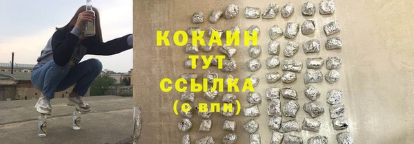 прущий лед Нея