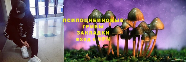 прущий лед Нея
