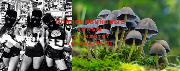 прущий лед Нея