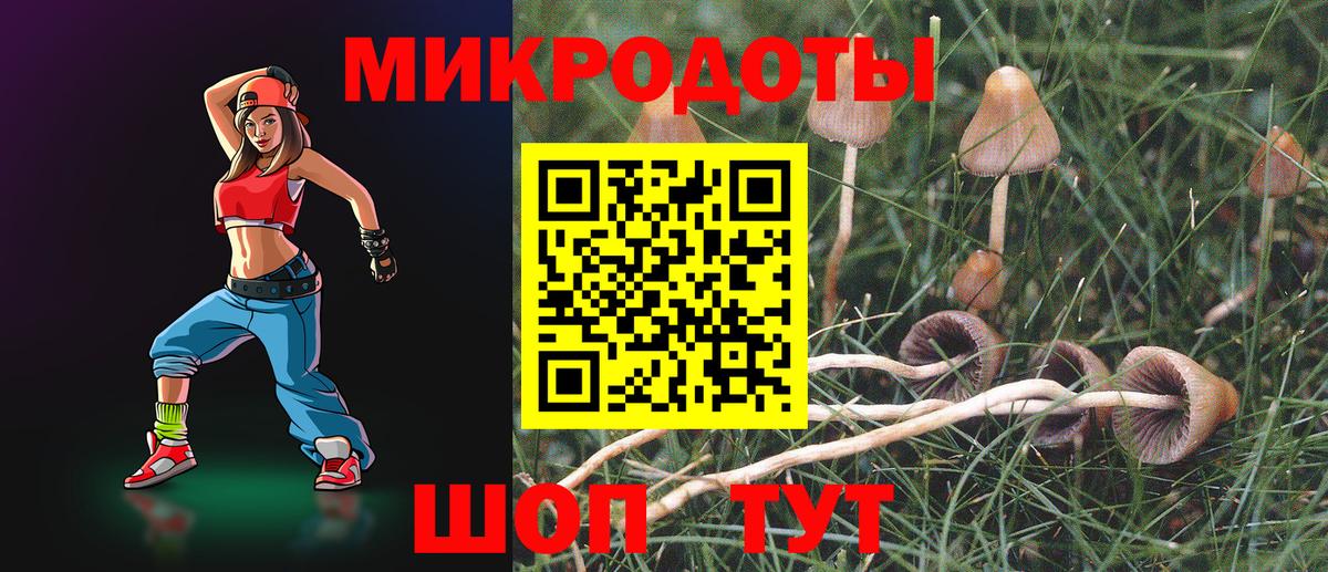 Боровичи  Псилоцибиновые грибы прущие грибы  Вход с VPN 