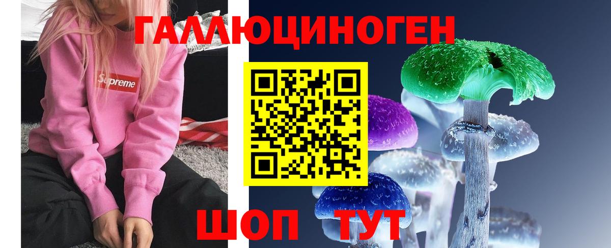 цены наркотик  Боровичи  Галлюциногенные грибы Psilocybe 